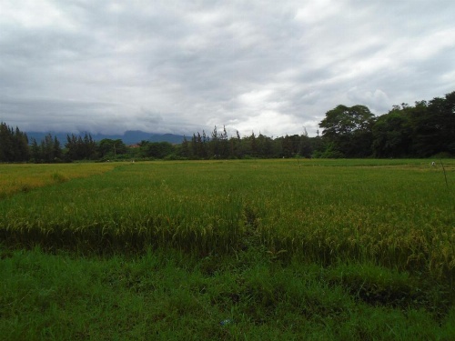 Ndoro Lorge image 6