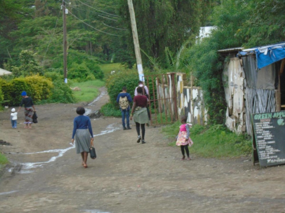 Single Room with Garden View